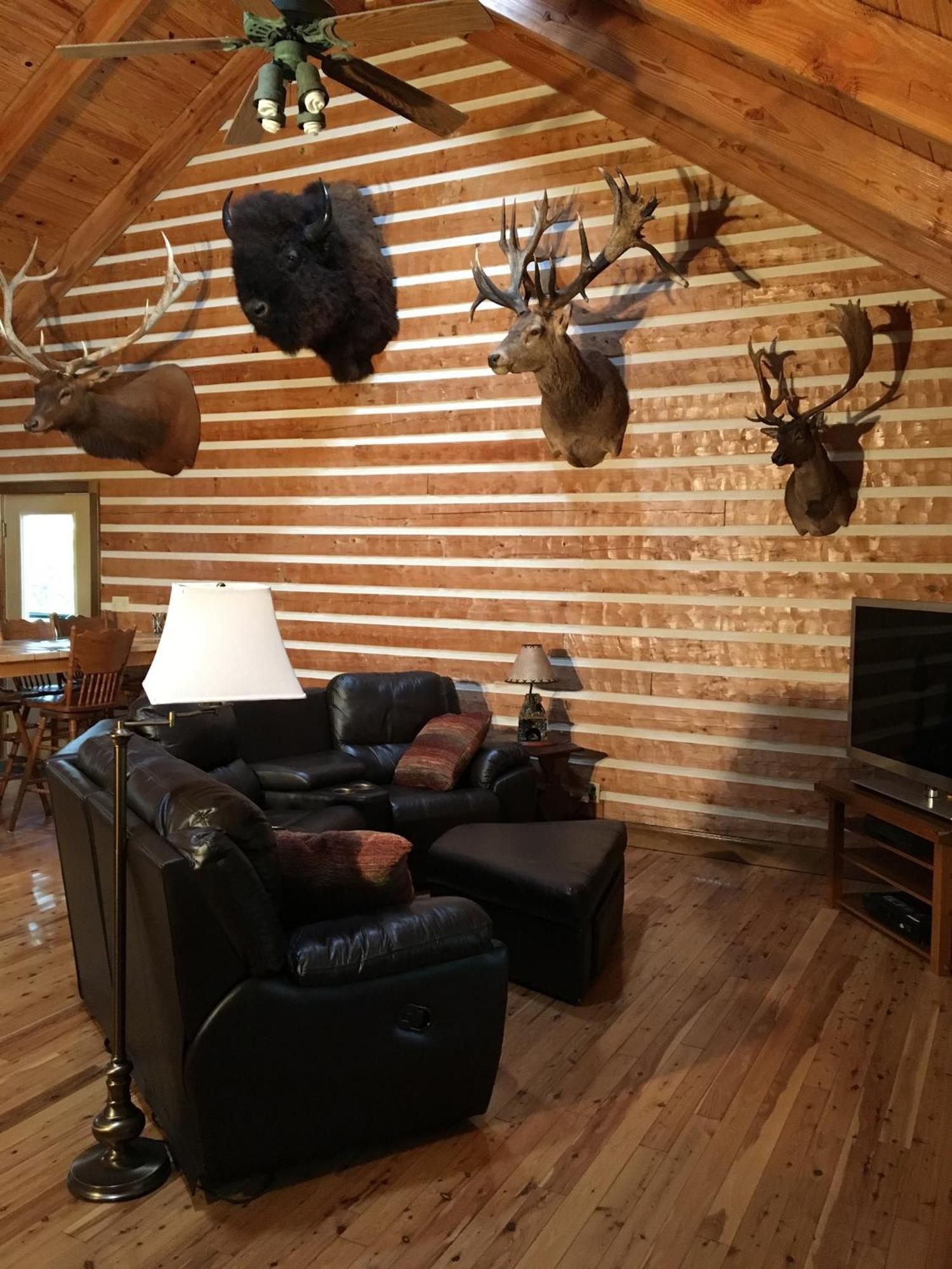 Ocklawaha Log Home Guest House מראה חיצוני תמונה